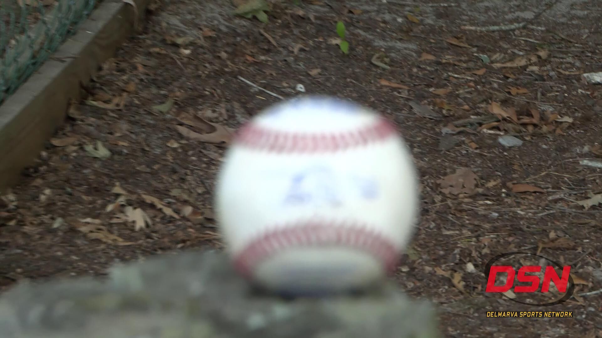 Arthritics defeat Pit-N-Pub 9-5 in Over the hill Pony League.